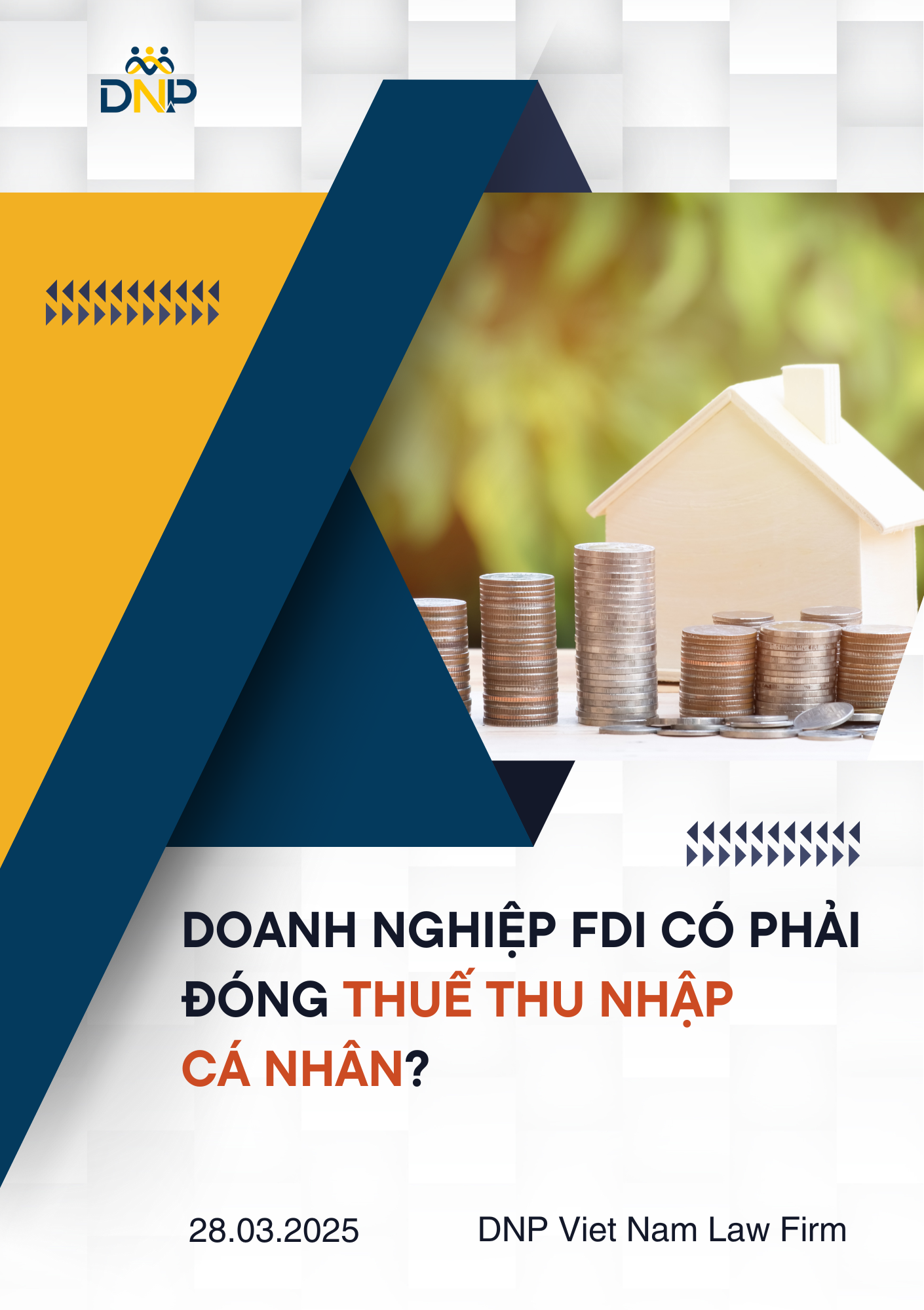 Hình ảnh được DNP Viet Nam Law Firm thiết kế