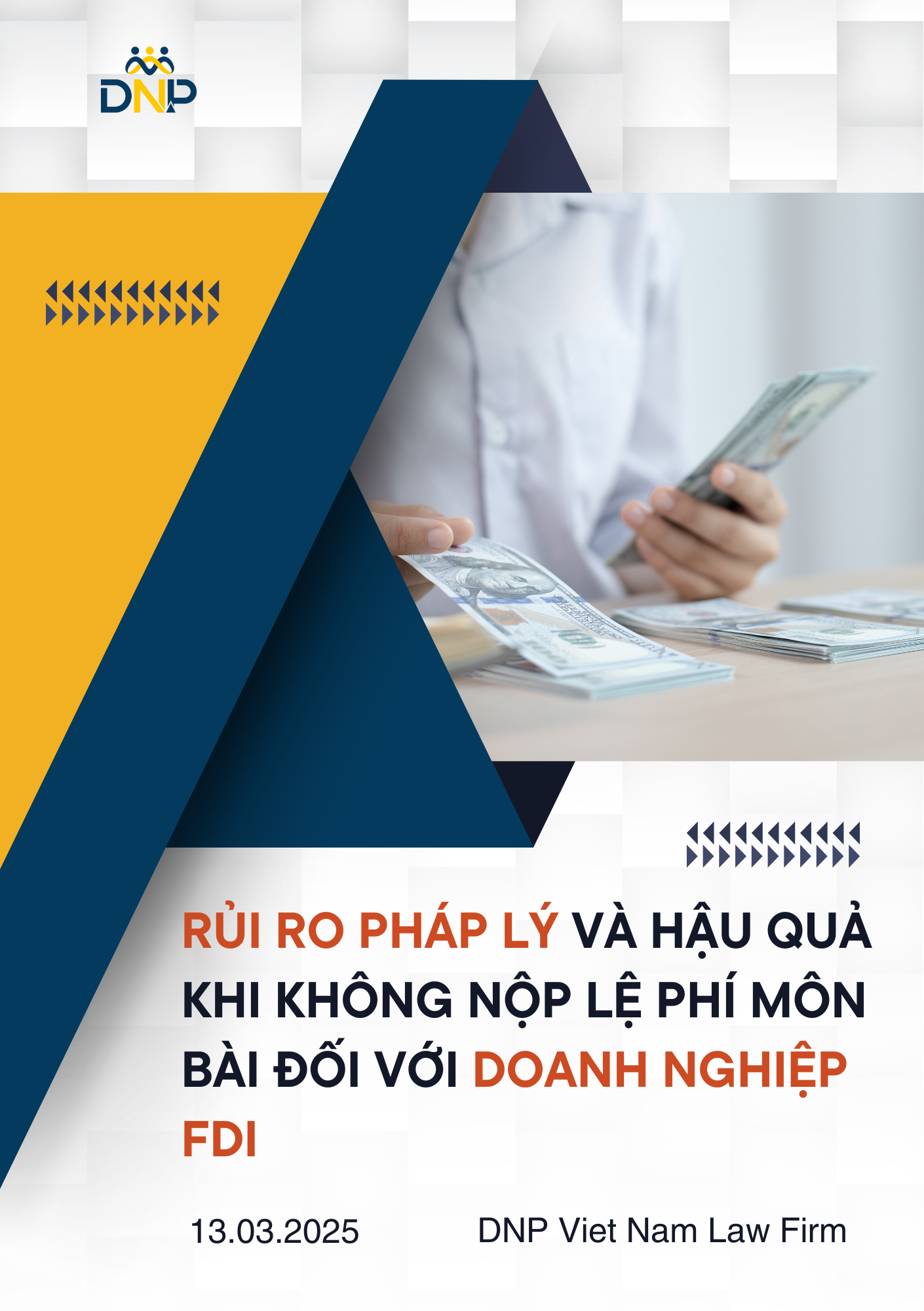 hình ảnh được thiết kế bởi DNP Viet Nam Law Firm