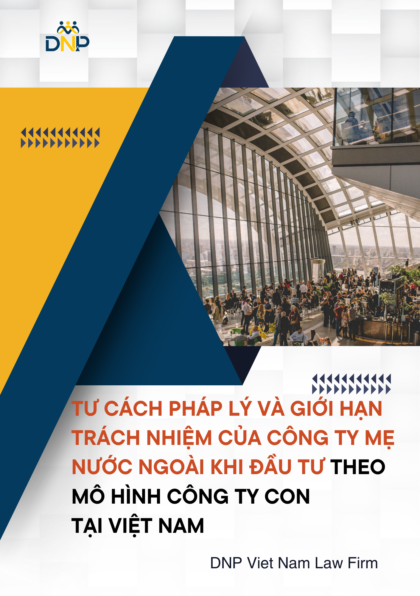 Hình ảnh được thiết kế bởi DNP Việt Nam Law Firm