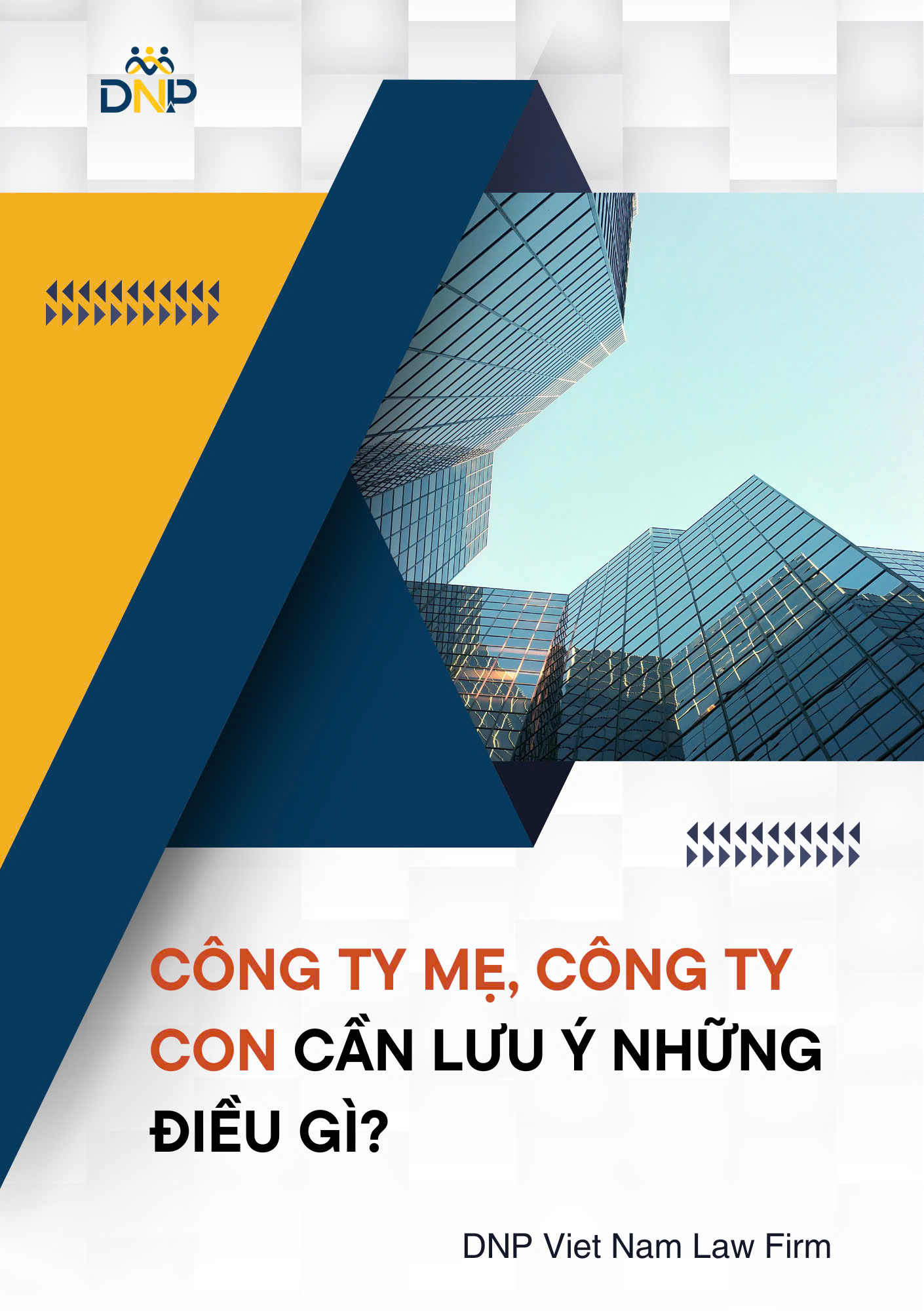 Hình ảnh được thiết kế bởi DNP Viet Nam Law Firm