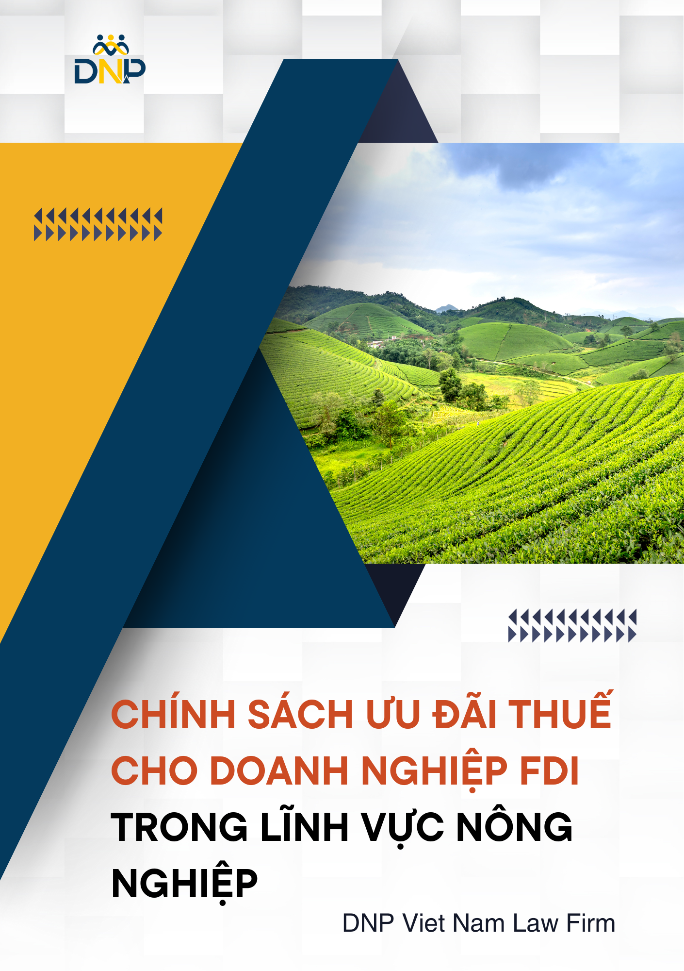 Hình ảnh được thiết kết bởi DNP Viêt Nam Law Firm