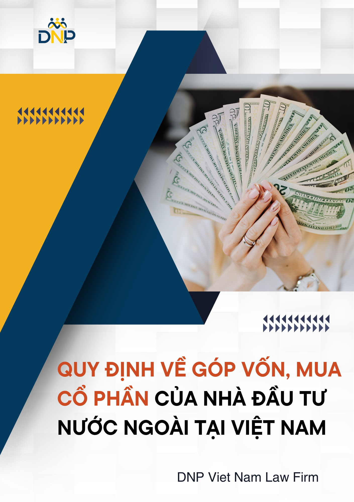 Hình ảnh được thiết kết bởi DNP Viêt Nam Law Firm