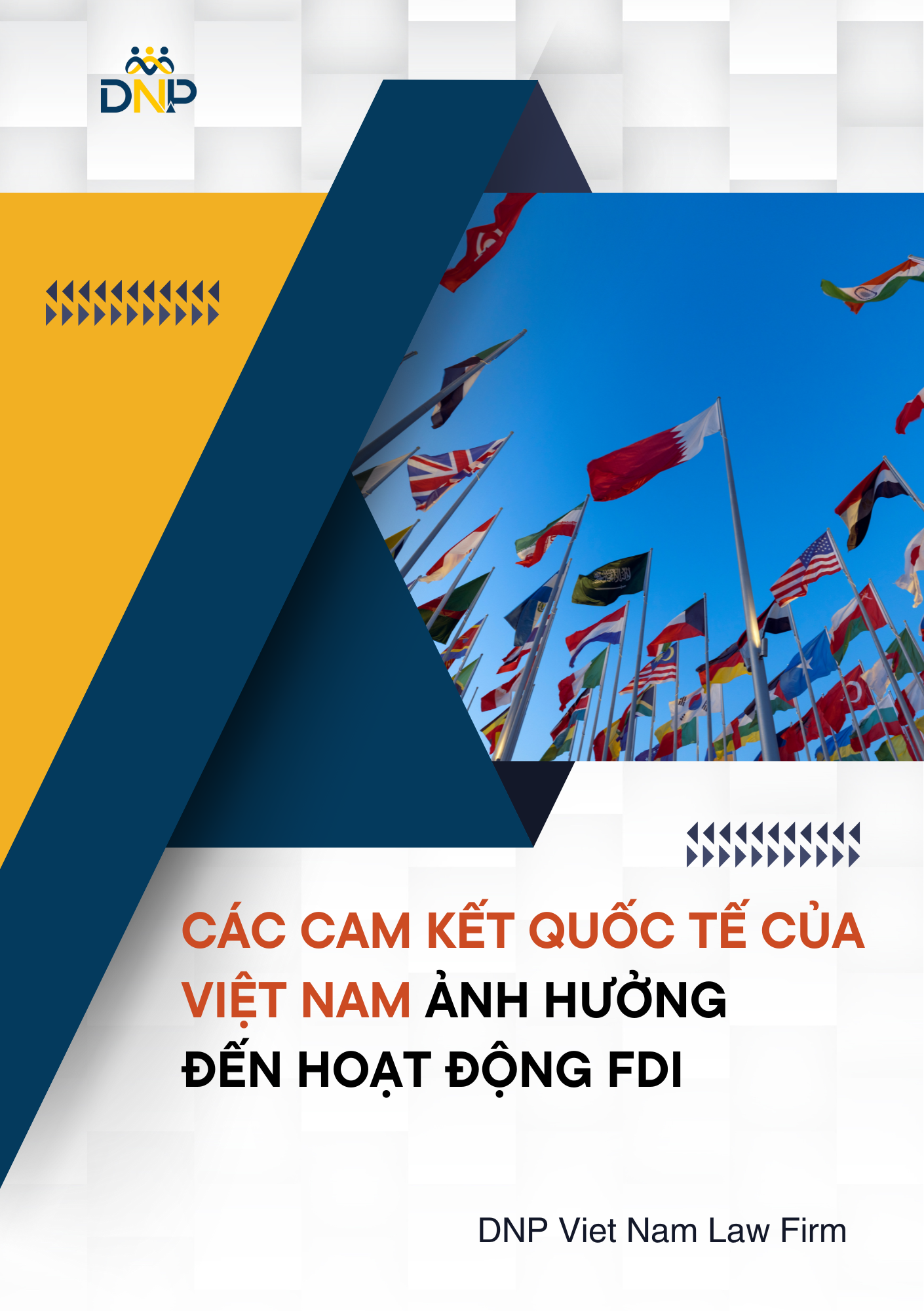 Hình ảnh được thiết kế bởi DNP Viet Nam Law Firm