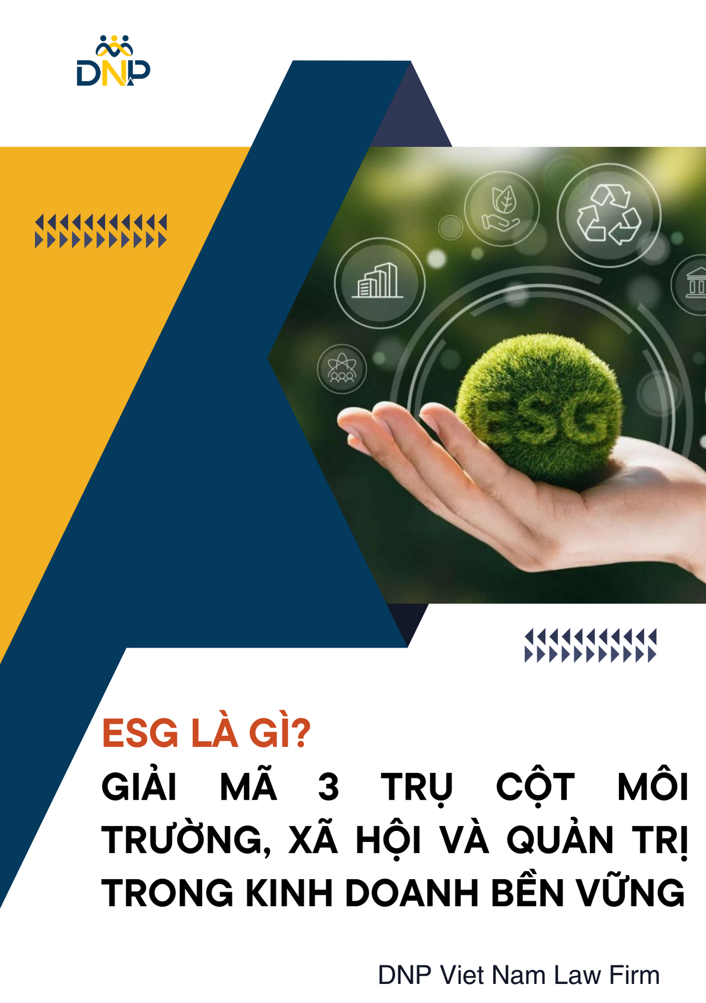 Hình ảnh được thiết kết bởi DNP Viet Nam Law Firm