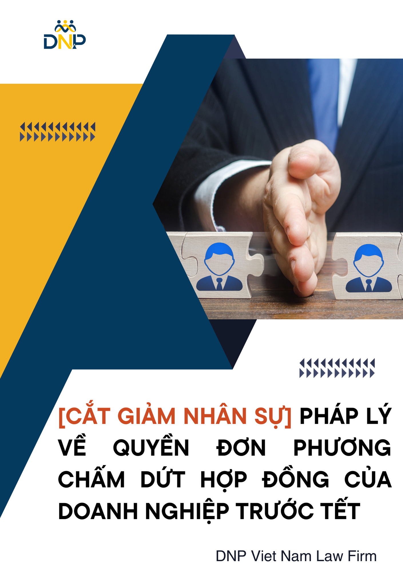 Hình ảnh được thiết kết bởi DNP Viet Nam Law Firm