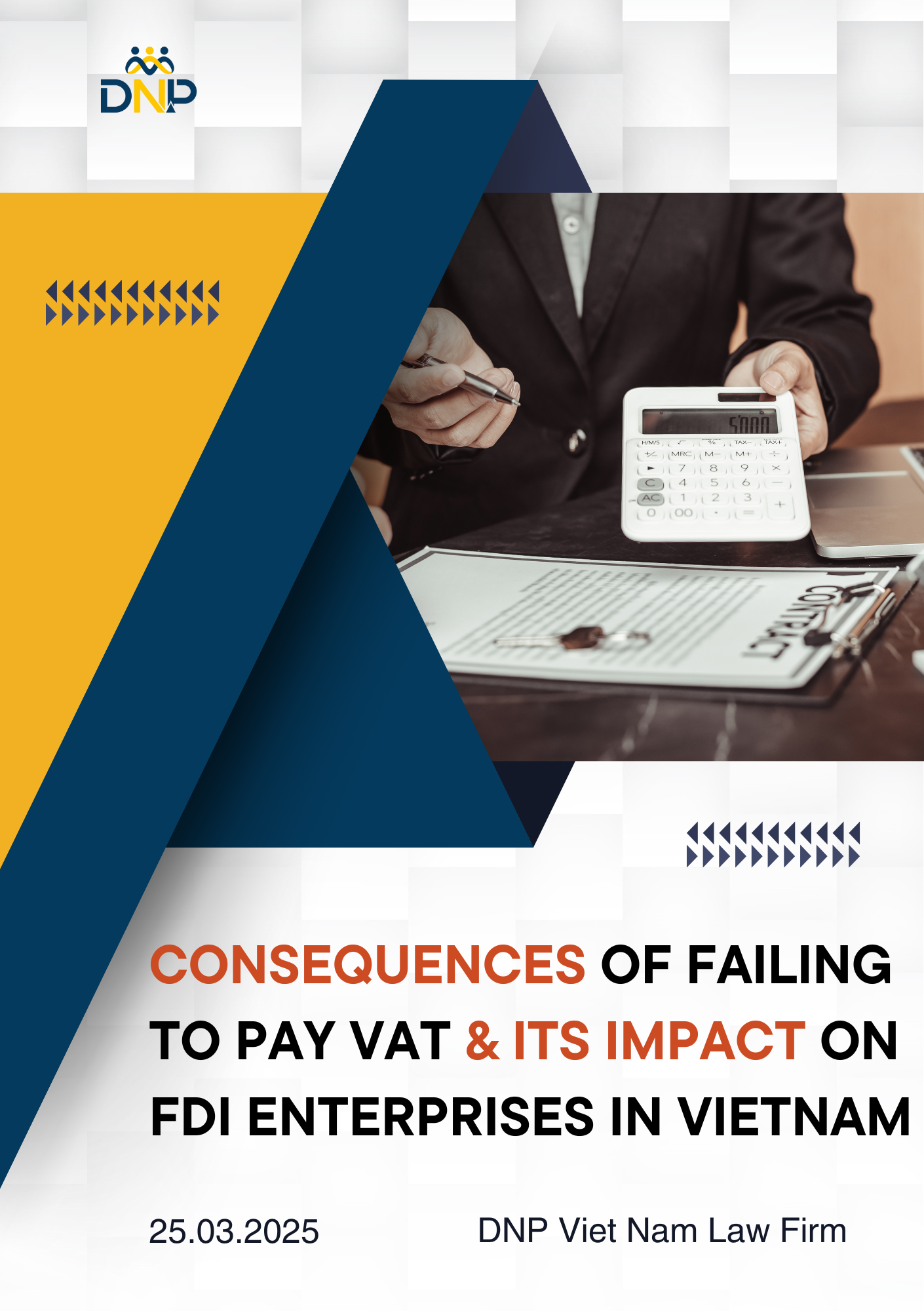 The image is designed by DNP Vietnam Law Firm