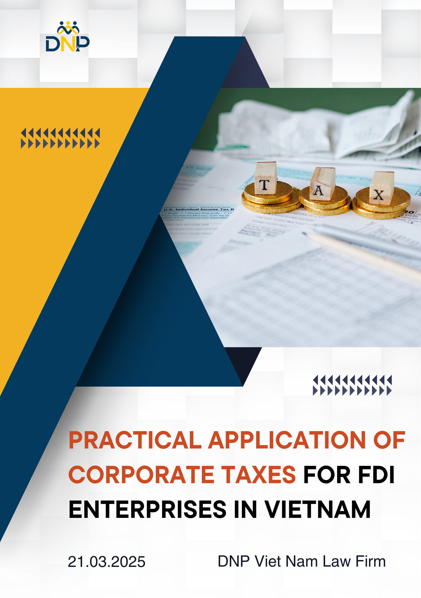 The image is designed by DNP Vietnam Law Firm