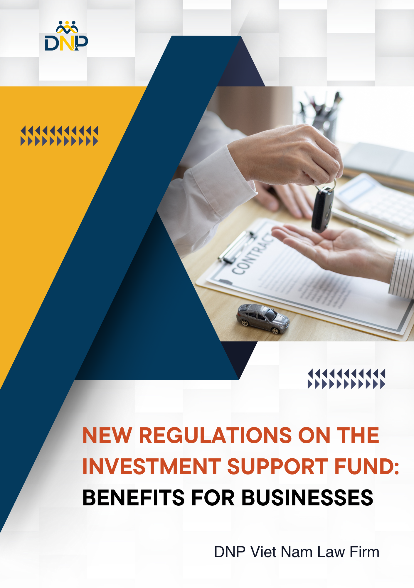 The image is designed by DNP Viet Nam Law Firm.