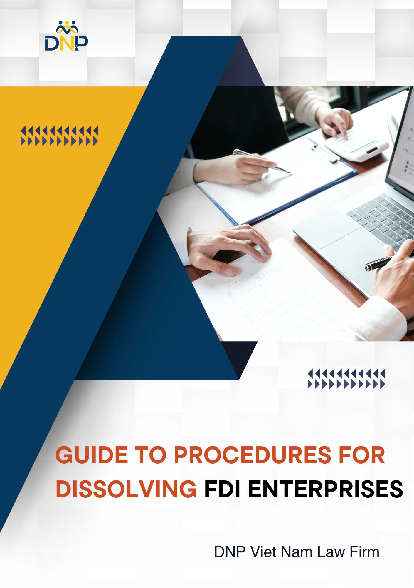 The image is designed by DNP Viet Nam Law Firm.