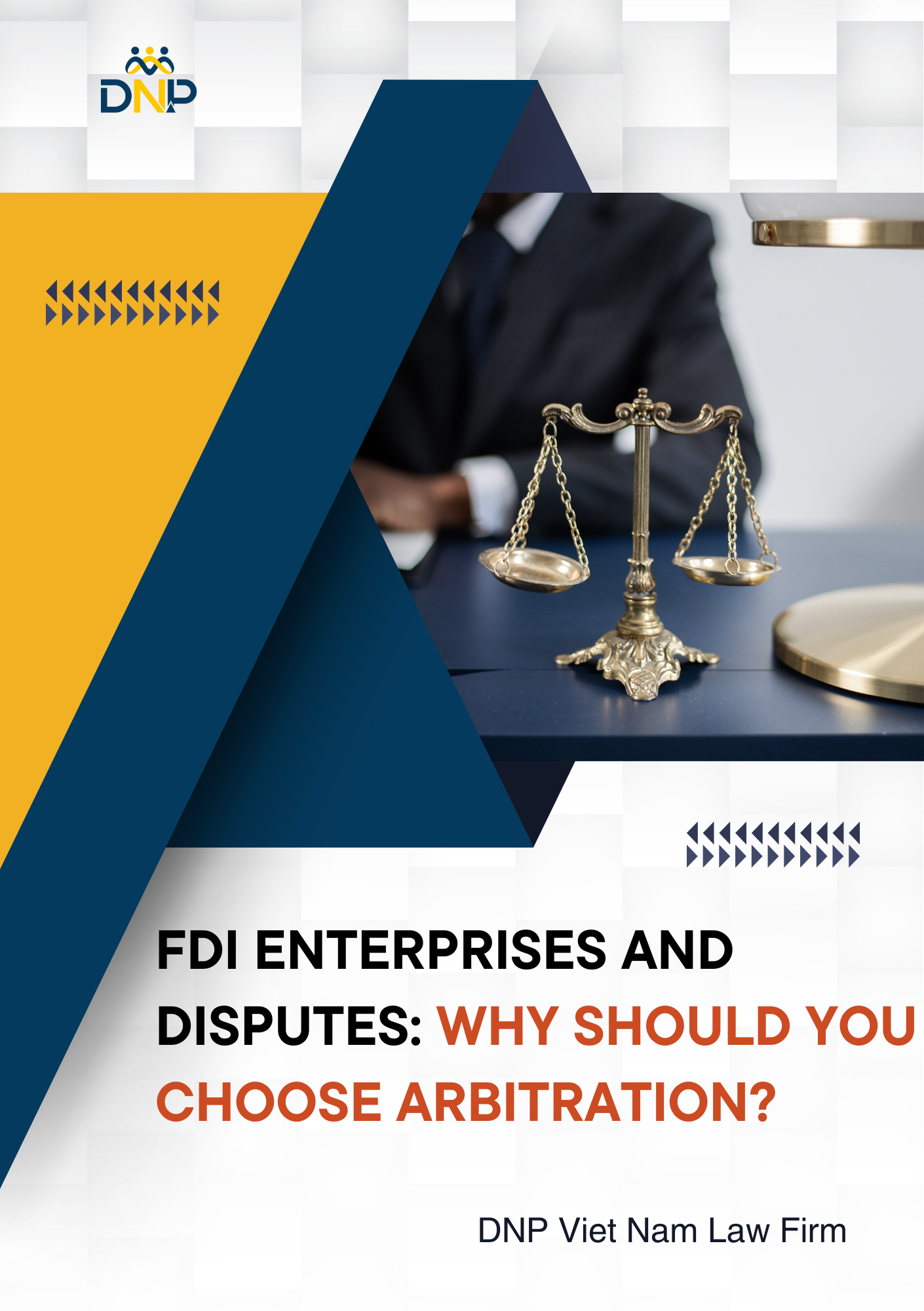 The image is designed by DNP Viet Nam Law Firm.