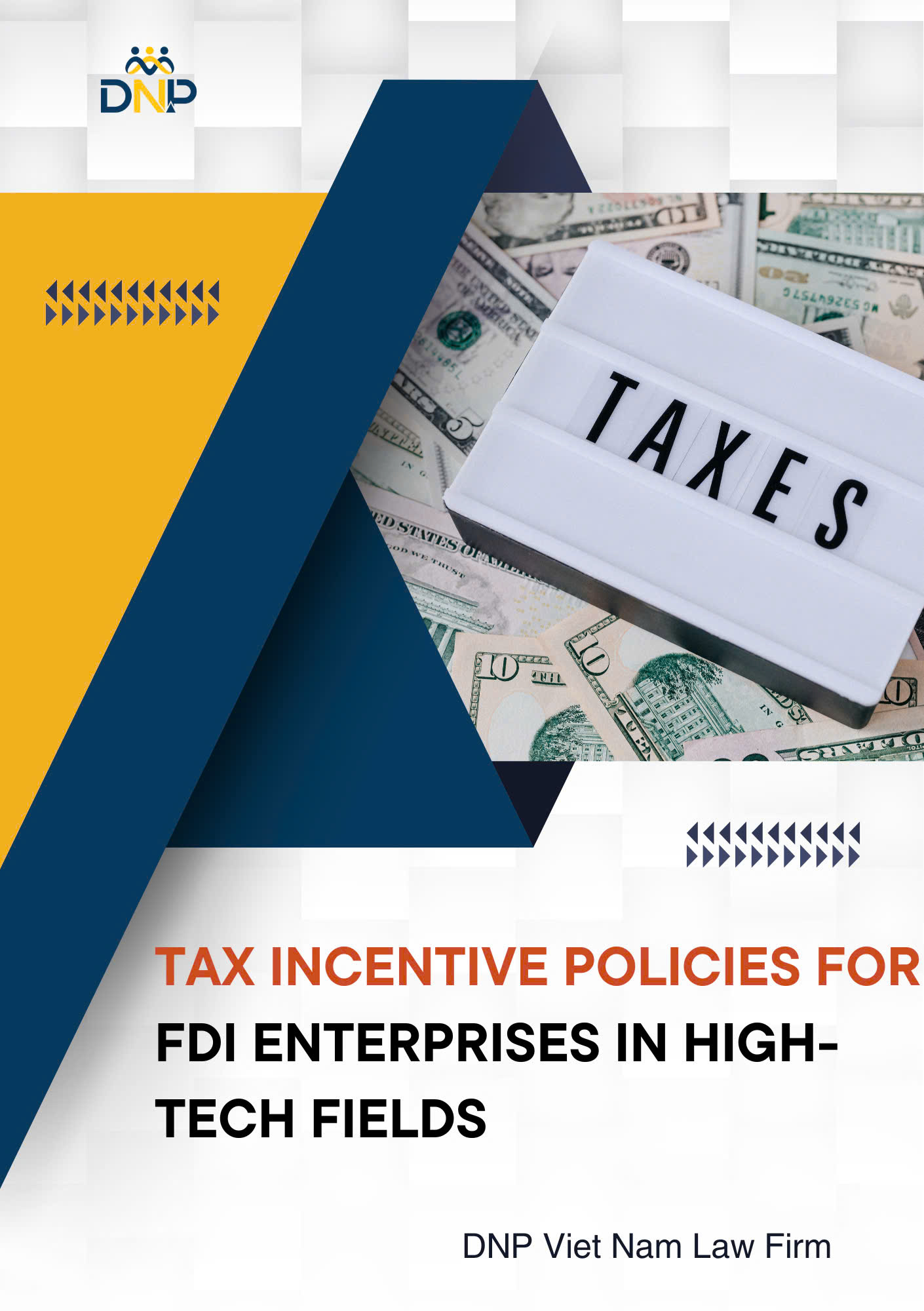 The image is designed by DNP Viet Nam Law Firm.