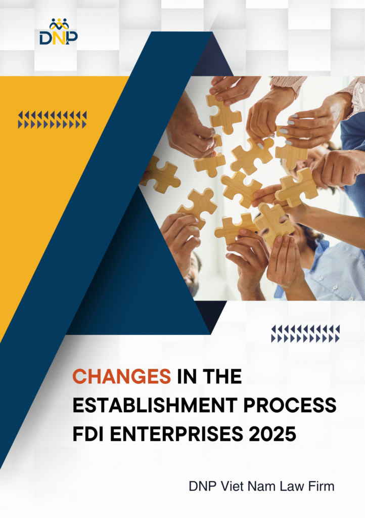 The image is designed by DNP Viet Nam Law Firm.