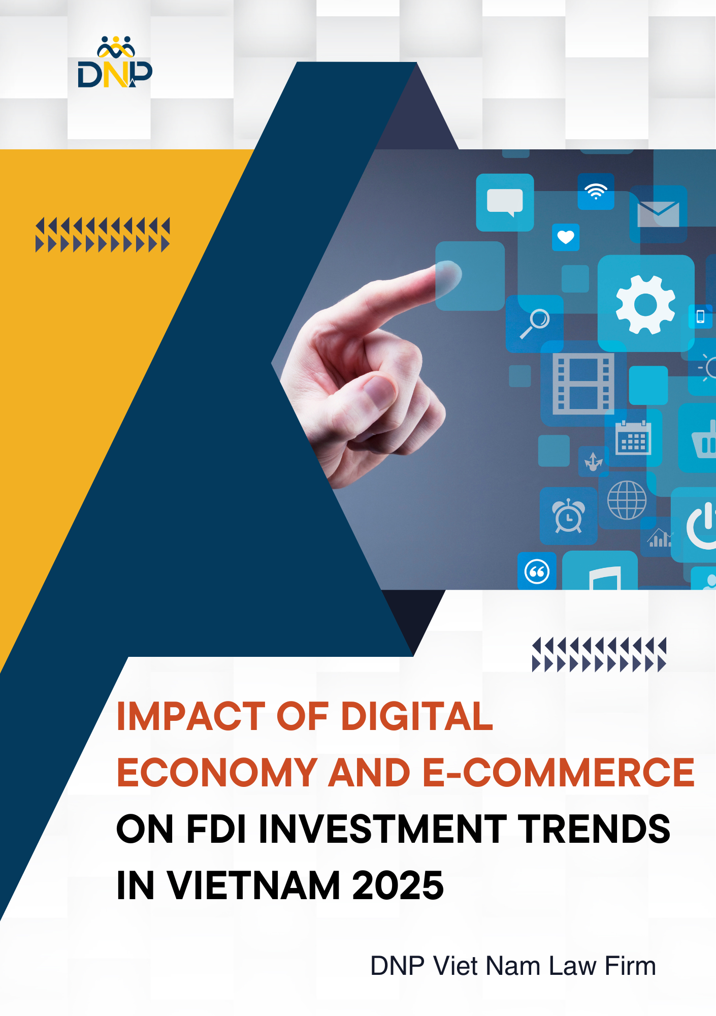 The image is designed by DNP Viet Nam Law Firm