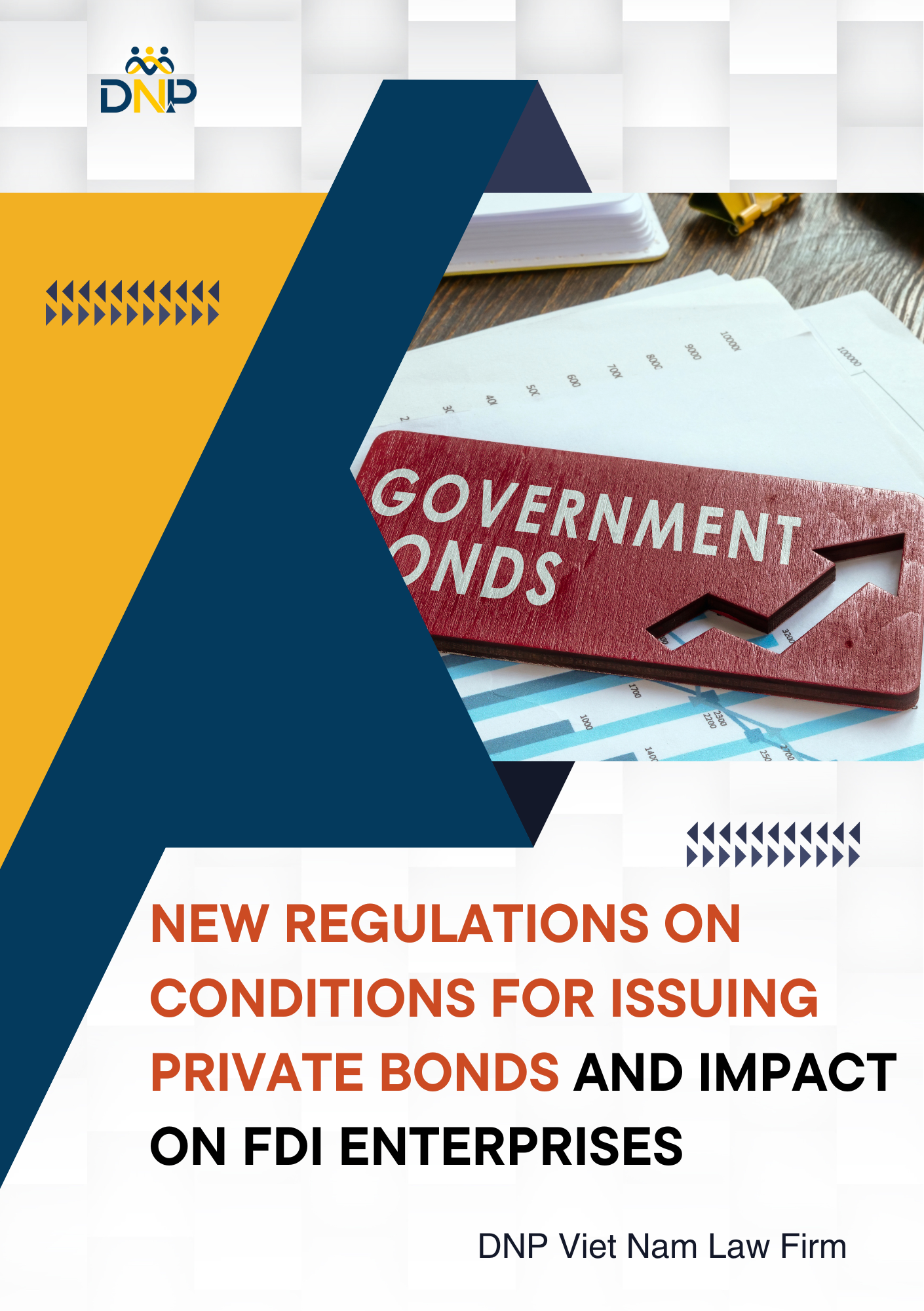 The image is designed by DNP Viet Nam Law Firm