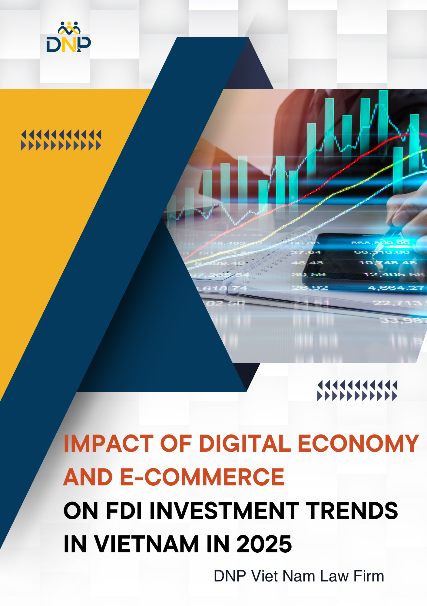 This image is designed by DNP Viet Nam Law Firm