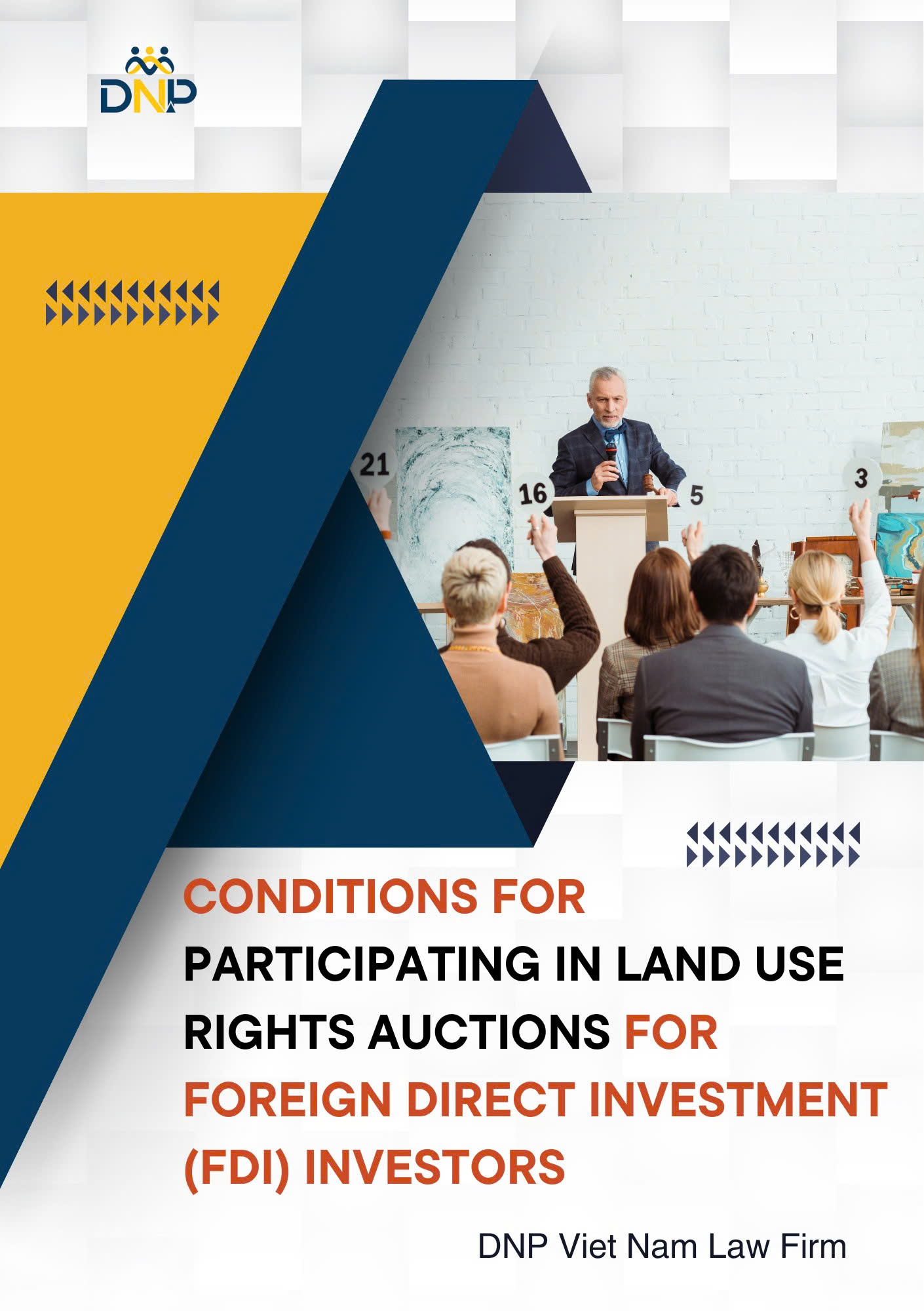 This image is designed by DNP Viet Nam Law Firm