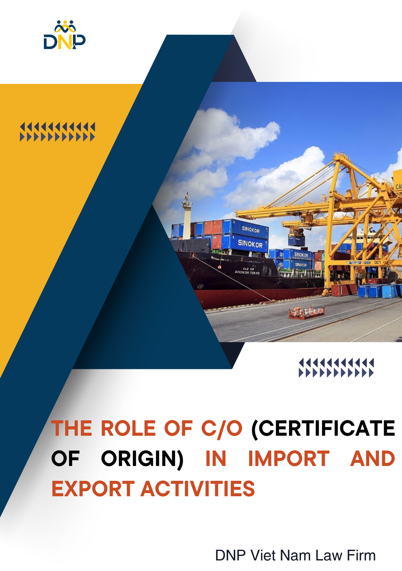 This image is designed by DNP Viet Nam Law Firm