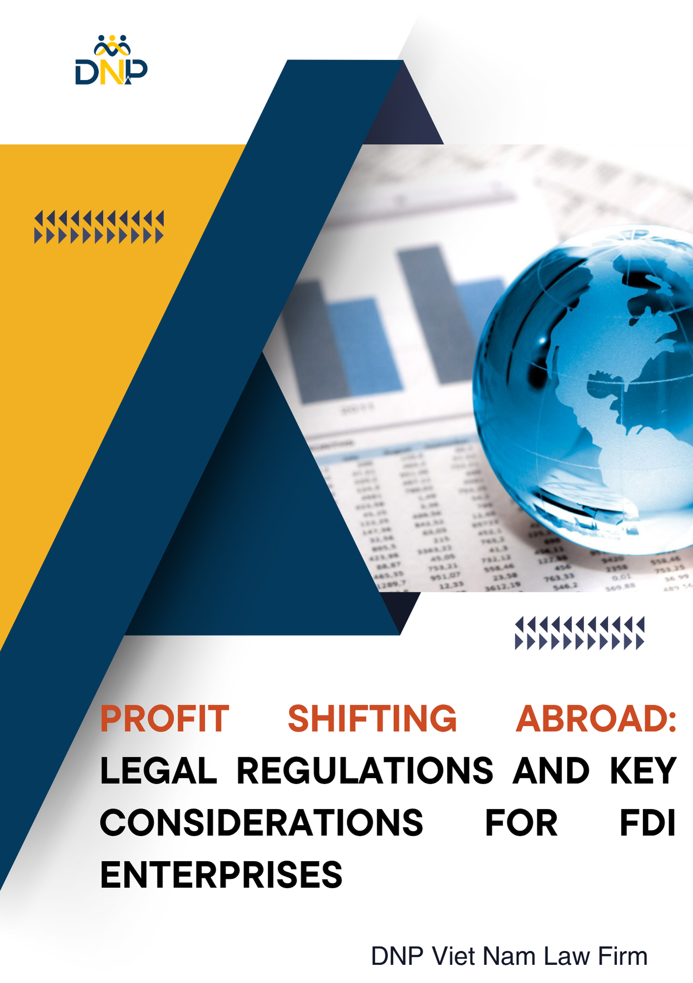 This image is designed by DNP Viet Nam Law Firm