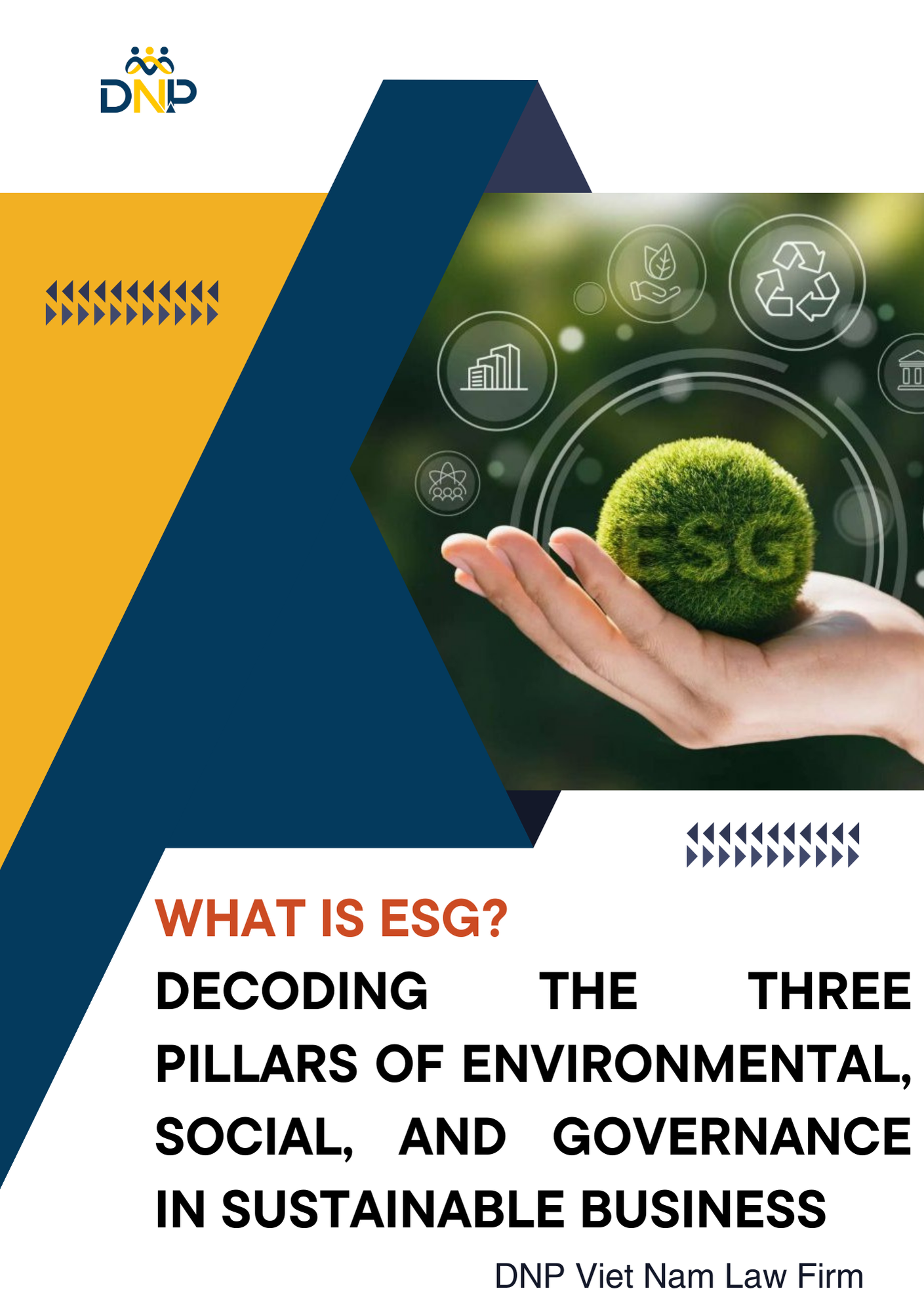 This image is designed by DNP Viet Nam Law Firm