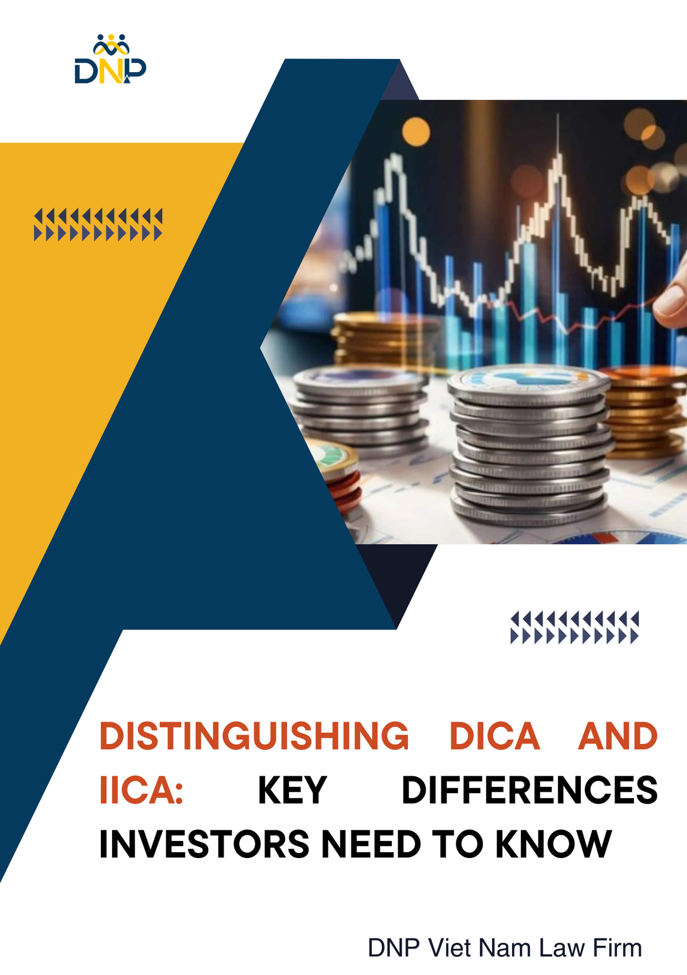 This image is designed by DNP Viet Nam Law Firm